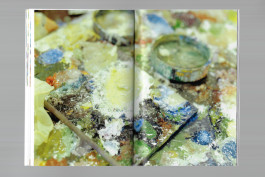 Spreads of an art publication on a grey background