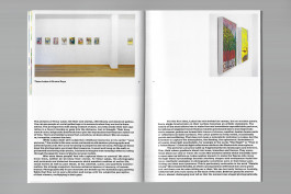 Spreads of an art publication on a grey background