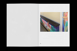 spreads of a photo zine lying on a black background